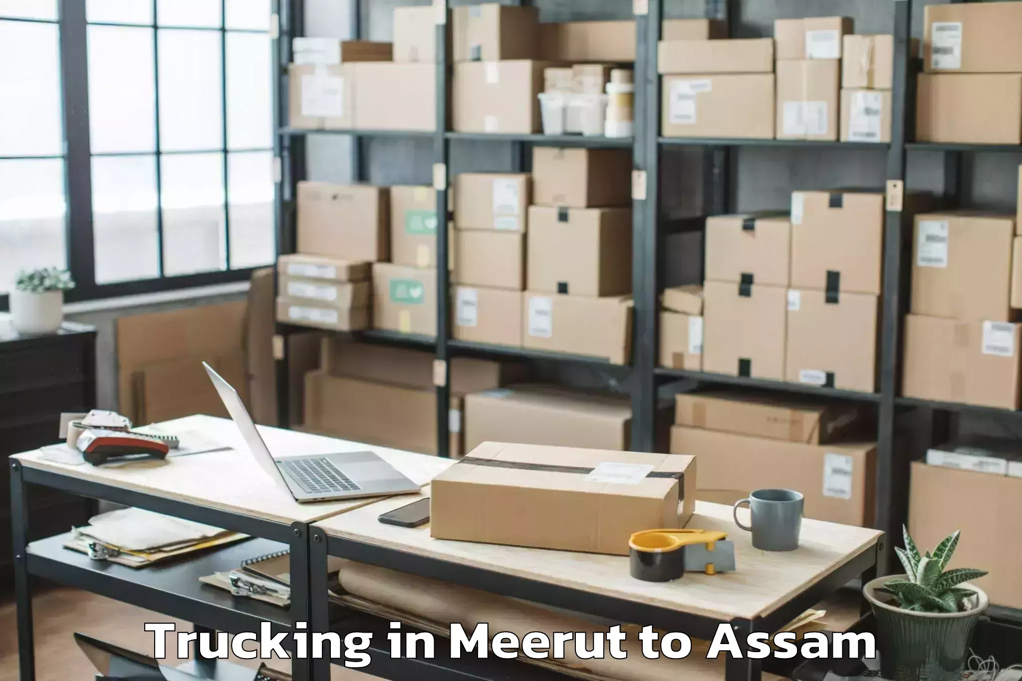 Book Meerut to Sivasagar Trucking Online